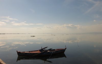 Mediterranean Coastal Wetlands