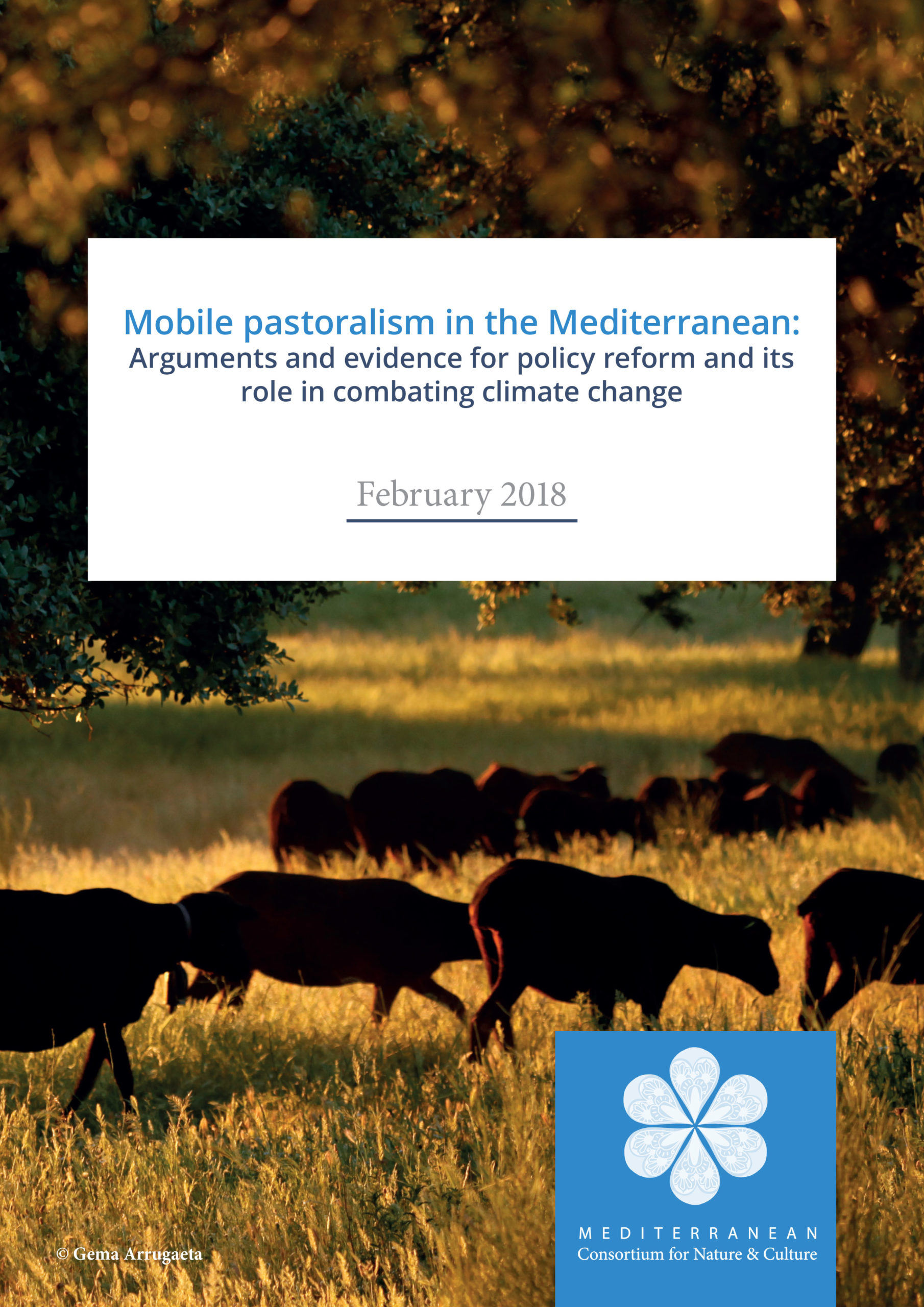 Mobile Pastoralism in the Mediterranean