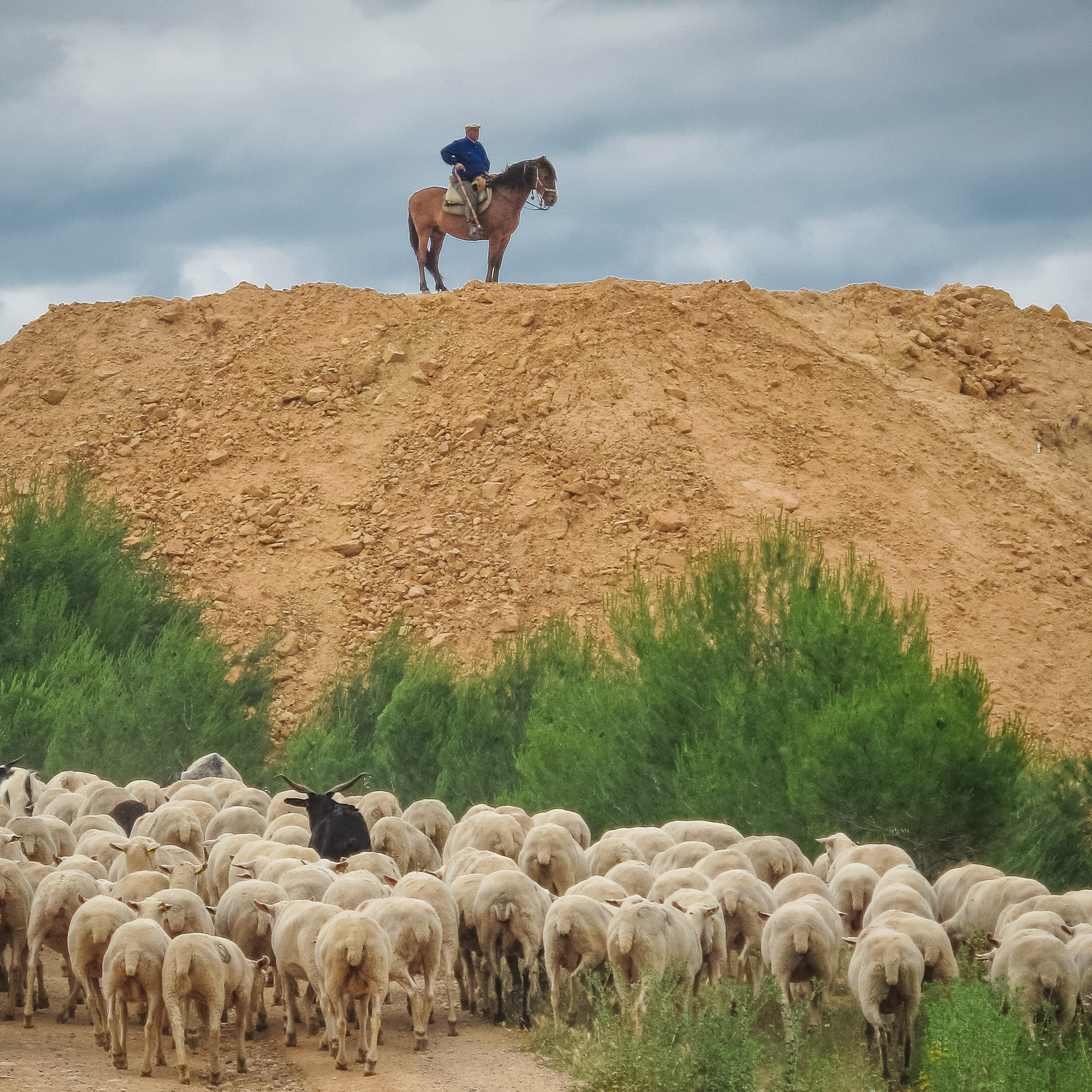 Spirituality of pastoralism